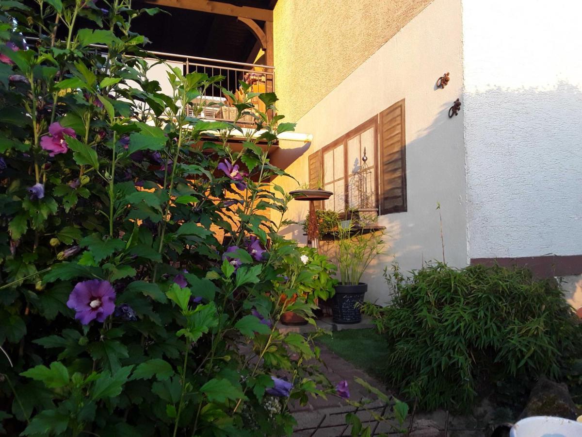 Haus Sonnenblick Apartamento Momlingen Exterior foto